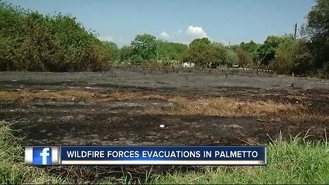 Wildfire forces evacuations in Palmetto