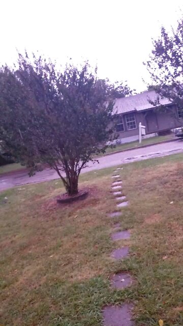 The Great Lighting Show