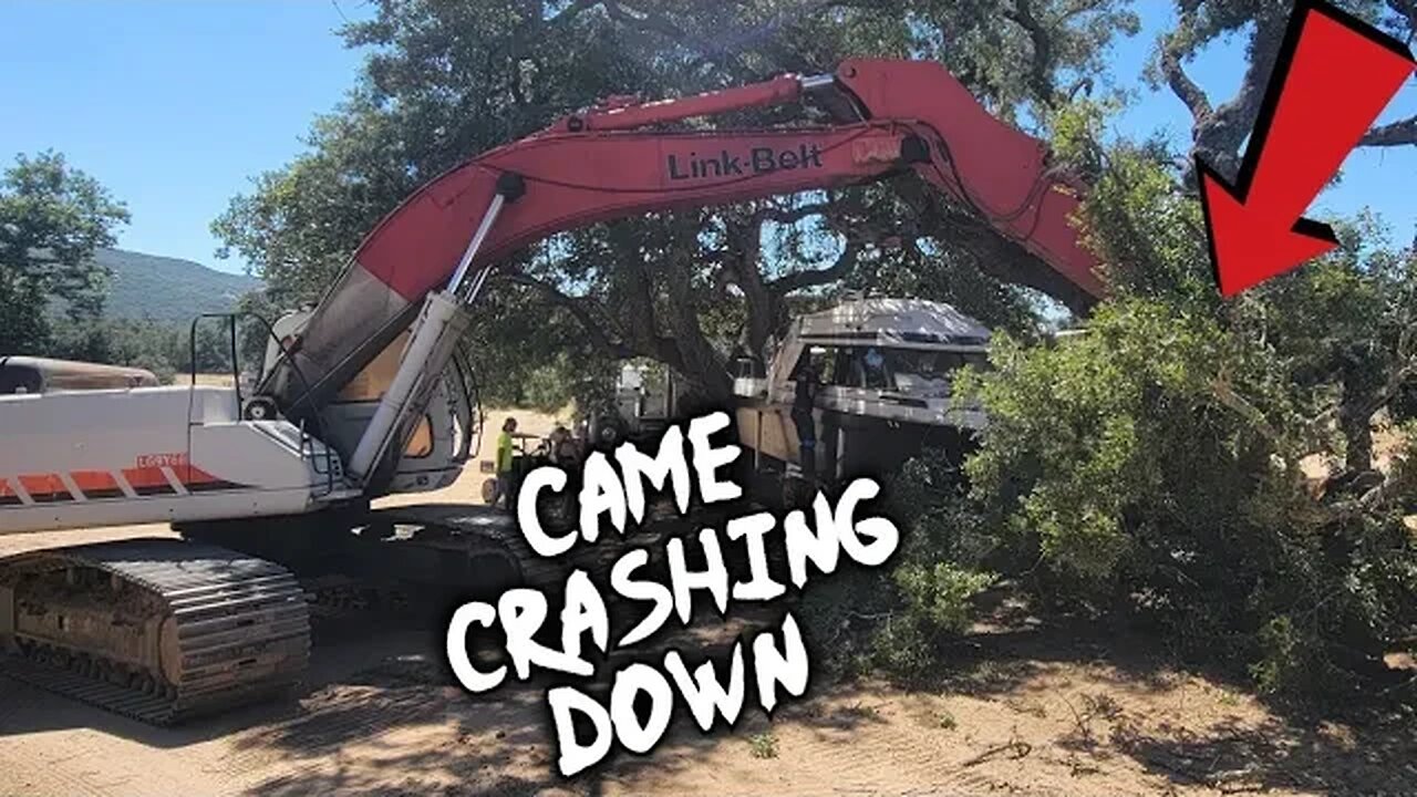 Building My Kids A Tree House From Abandoned Boat Part 1: Massive Branch Falls... Off To BAD Start !