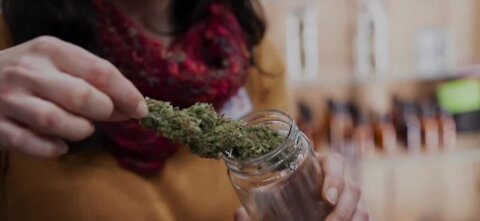 Medical marijuana classification under debate