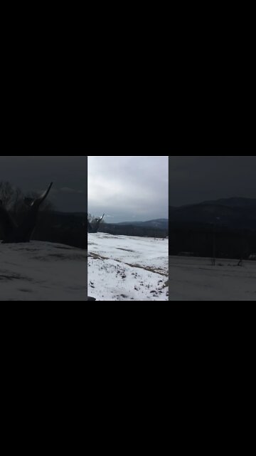 Checking out Vermont