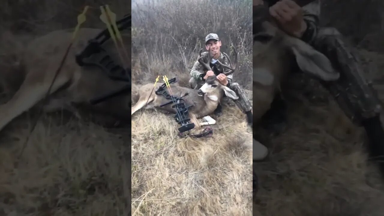 Record Mule deer Buck killed!