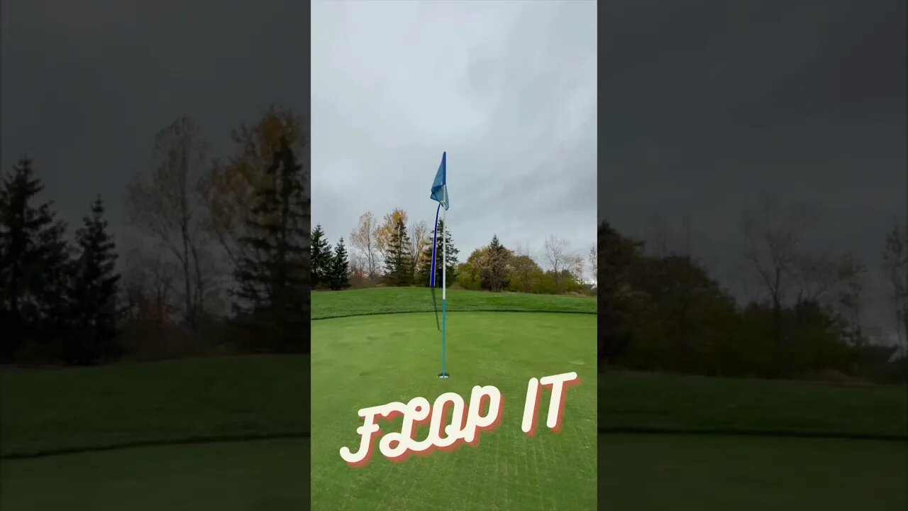 Pop Lock and Flop it #subscribe #shorts #golf #viral