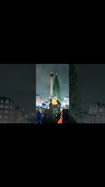 75TH Anniversary of the lighting up ceremony Christmas tree in trafalgar Square #london