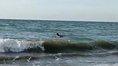 Menjaring Ikan Di Tepi Pantai