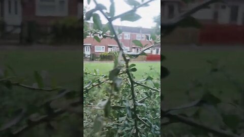 #veiws_viral_video_subscribers_grow #clip