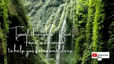 Rain Forest Meditation - Travel through a Rain Forest meditation music