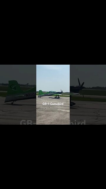 #aviationlover #aviation #airplane #rcplanes #flying #generalaviation #gamebirds #eaa #acrobatics