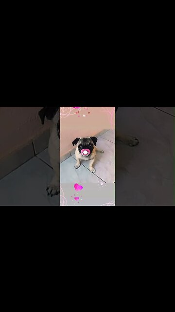 Ele é seu! mas vc deve por o nome da última coisa que comeu! qual foi? #shorts