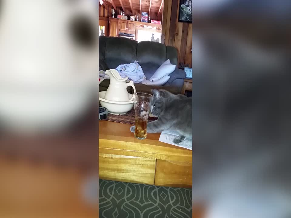 Kitty has Fancy Footwork Around Drinking Glass