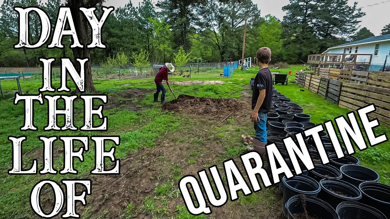 A Day in The Life of Quarantine/ stay home/ cook with me/ container gardening/ homestead garden