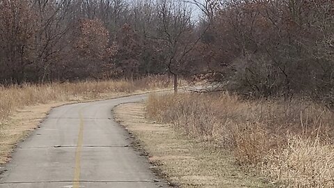 Deer spotting trail part 2. The coyote sighting!