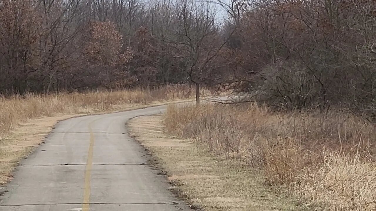 Deer spotting trail part 2. The coyote sighting!