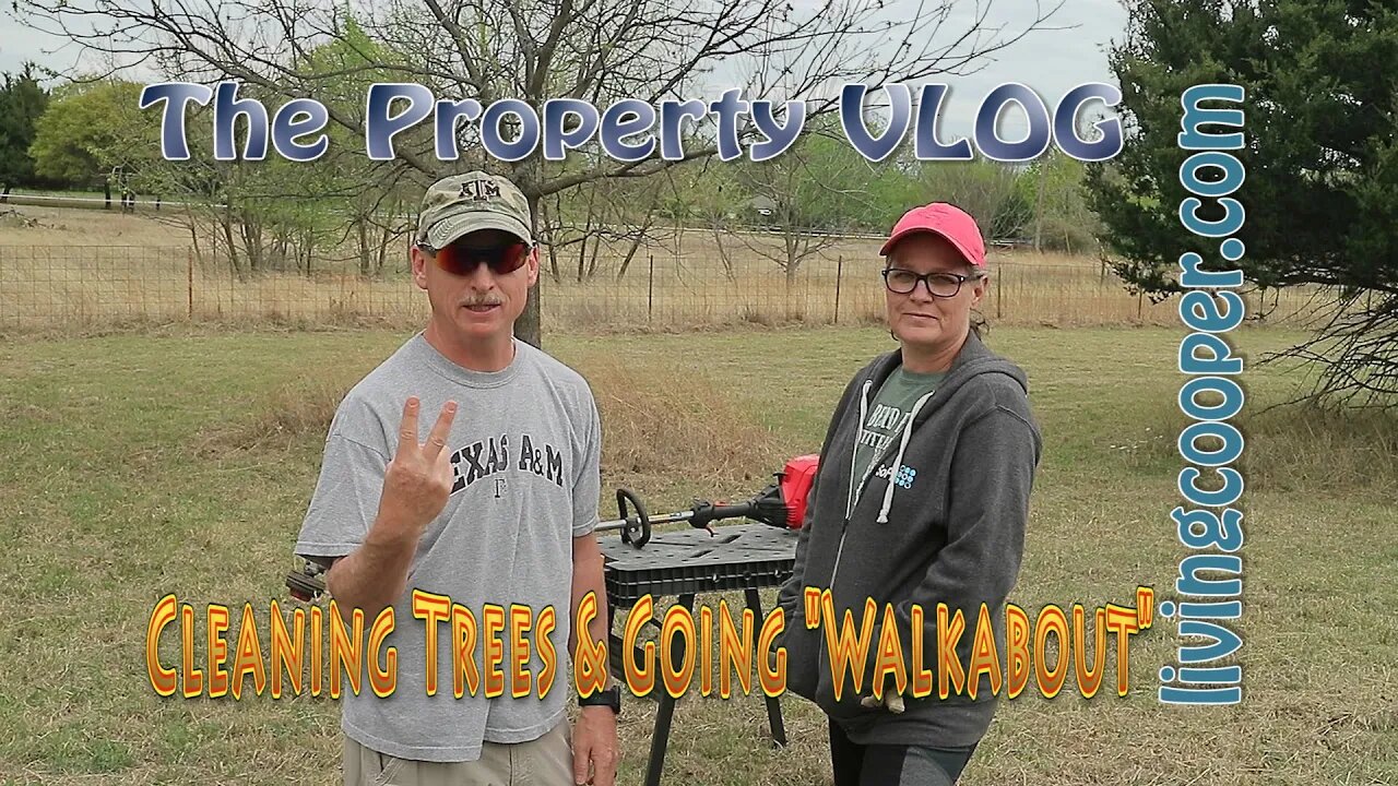 Living Cooper - Property VLOG - Cleaning Trees & Going Walkabout