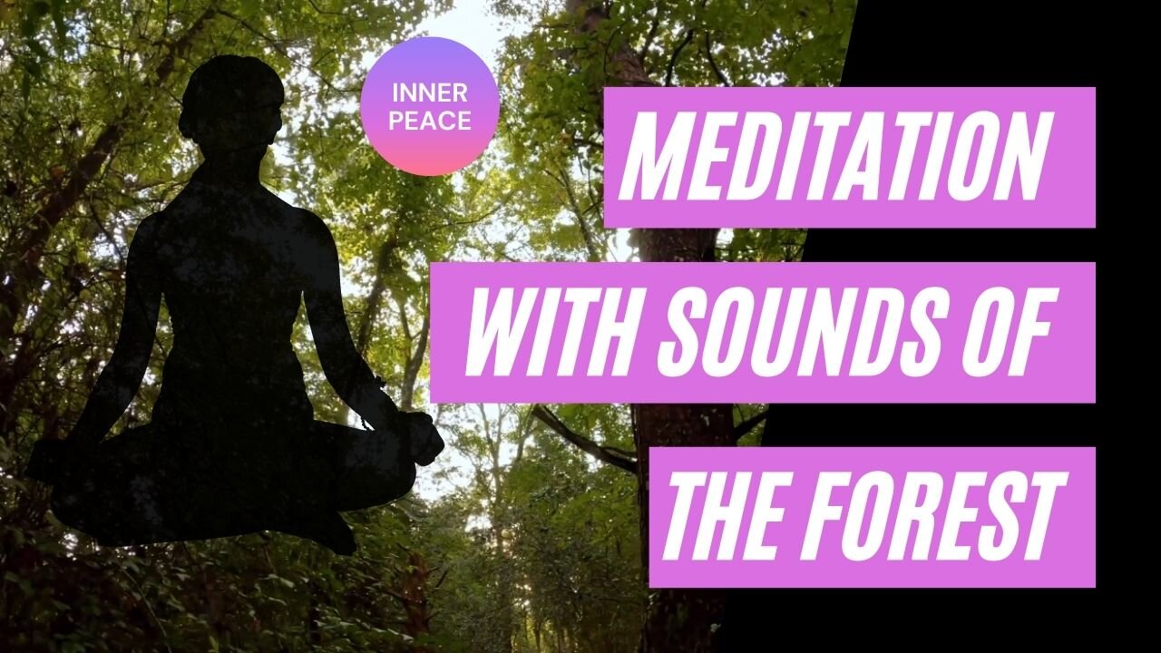 Meditate with the Sounds of the Forest | Inner Peace | Nirvana