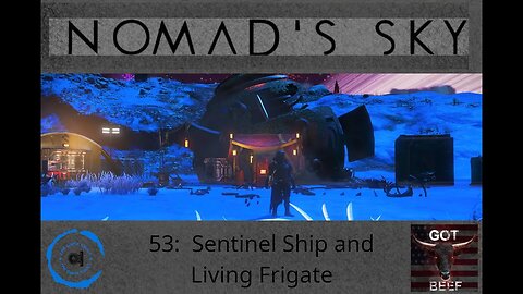 Nomad's Sky 53: Sentinal Ship and Living Frigate