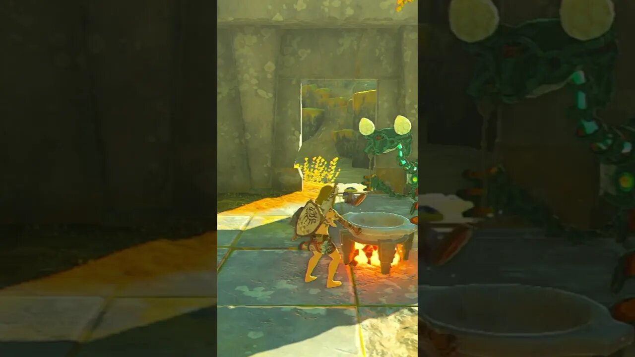 Zelda Tears of the Kingdom Cooking with Link