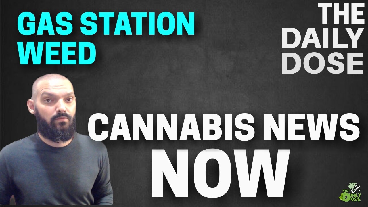 Cannabis News Now October 24th 2022: The Daily Dose