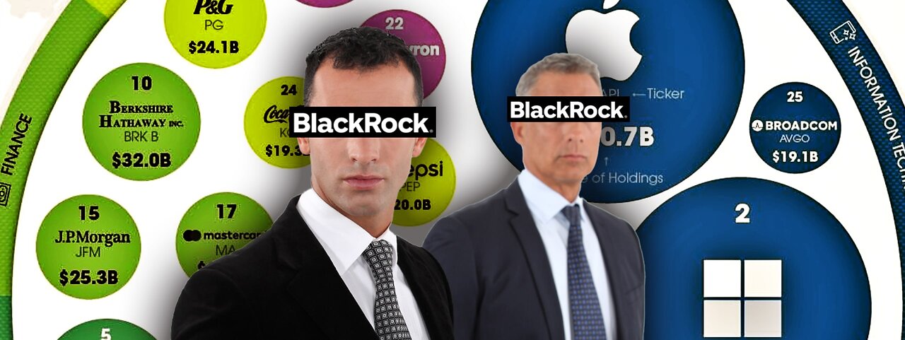 Anti-Trust: BlackRock Controls These Companies The Most & Why They Need To Be Broken Up