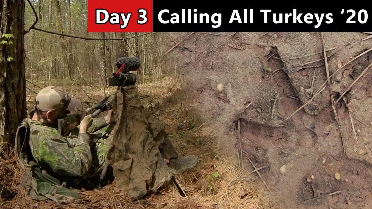 Tracking Down A Mississippi Gobbler - Public Land Turkey Hunting - Calling All Turkeys