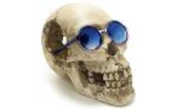 Skull Connects the Homo Genus Family