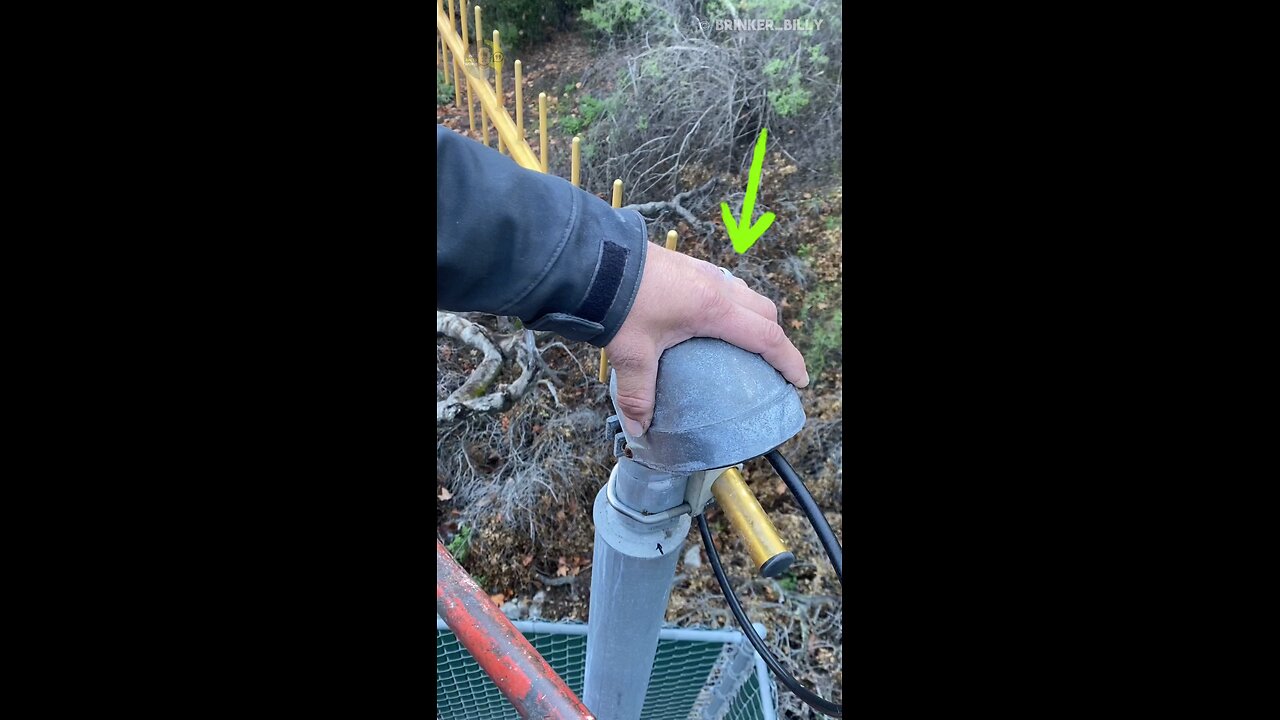 Man Finds Squirrel's Secret Nut Hoard Inside TV Antenna Pole! 🐿️