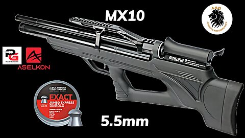 Aselkon Arms MX10 5.5mm pcp airgun shooting JSB 14.35gn @ 55 yards