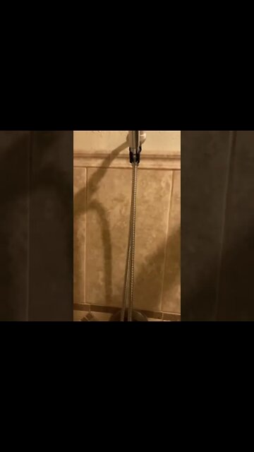 Moments of brilliance… we all have them #Shorts #LifeHack #Genius￼