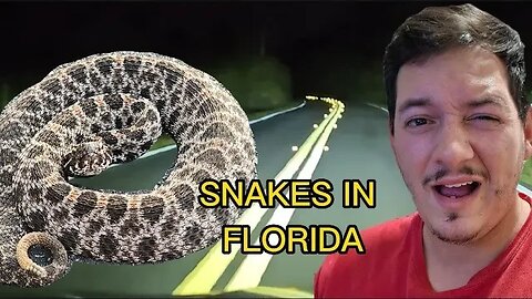 Early Spring herping for snake in Florida