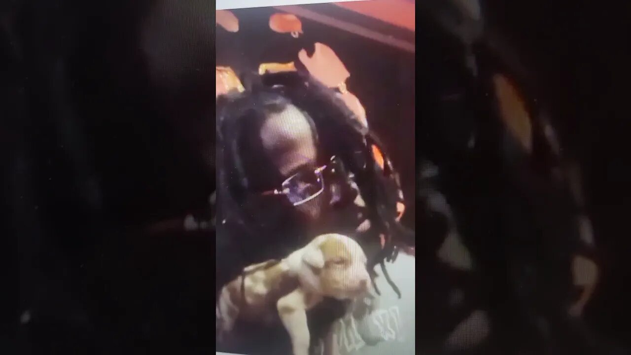 True Freeman Almost Killed A $5k Puppy