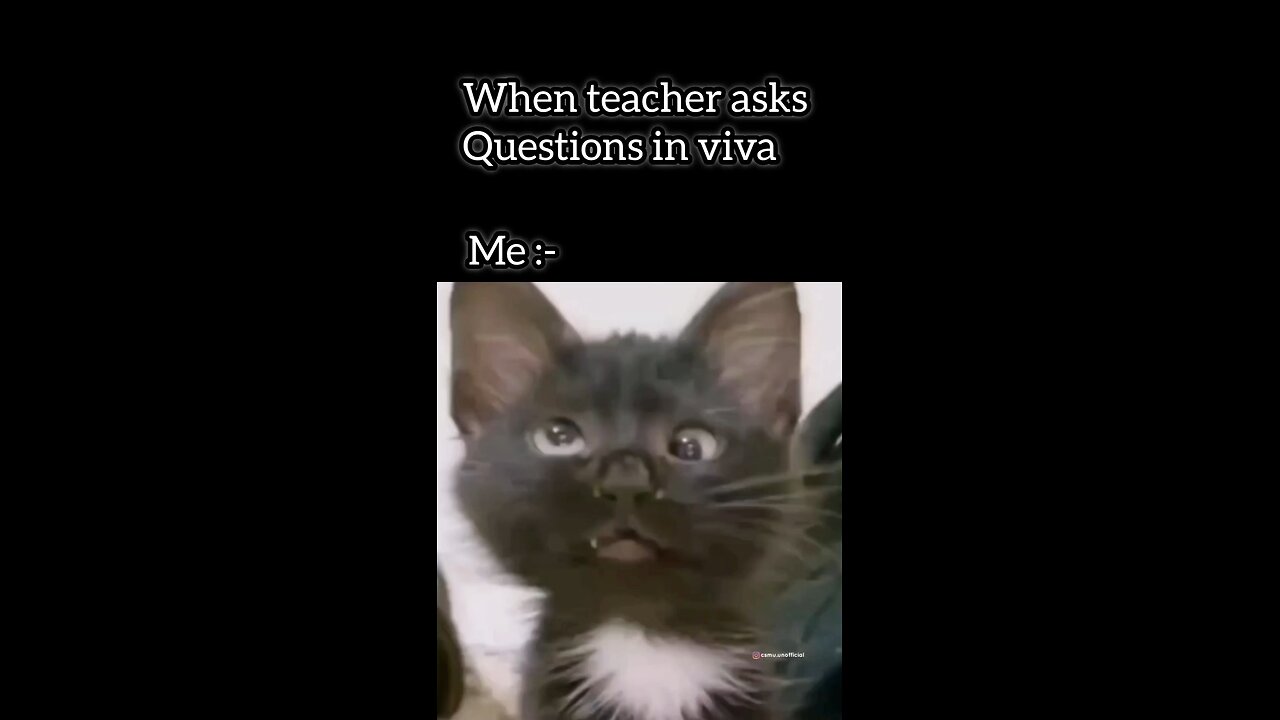 cat funny video cute animal videos 😀🤣😀 cat funny video cute animal videos 😀😀
