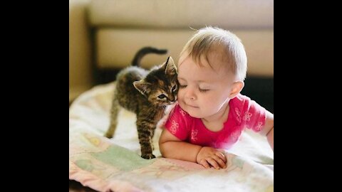Cute video of Cats with Babies - Compilation 2021