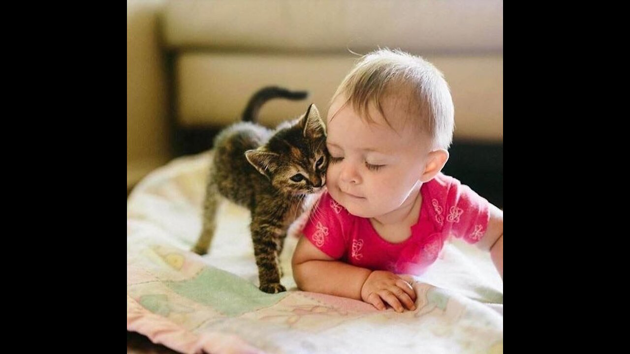 Cute video of Cats with Babies - Compilation 2021