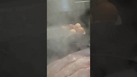 Breakfast today || Smell-A-Vision || 01-20-23 #breakfast #shorts