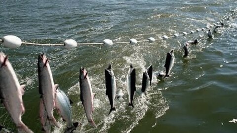 Amazing Ice Fishing -Net Fishing skill in winter