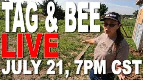 Tag & Bee LIVE