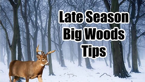 Tips for late season hunting in the BIG WOODS