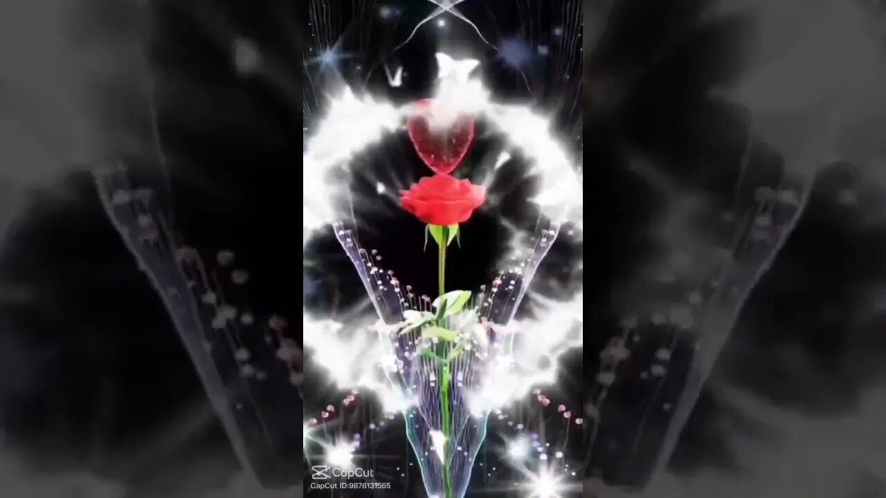 it's beautiful world