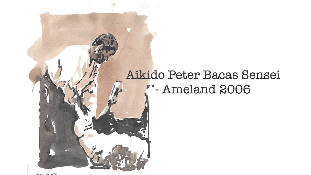 Aikido Peter Bacas Sensei - Ameland 2006