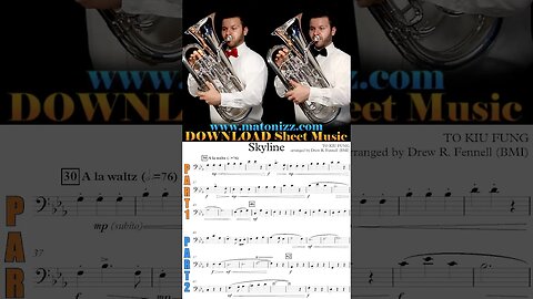 Gaming music vibes??🎮🎶 #euphonium #bombardino #lowbrass #duet #waltz