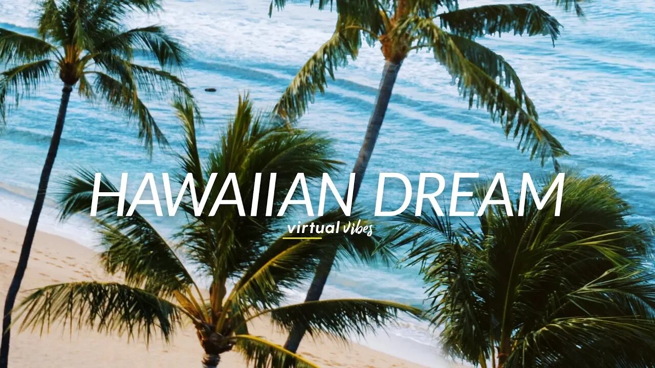 Hawaiian Dream - Virtual Vibes