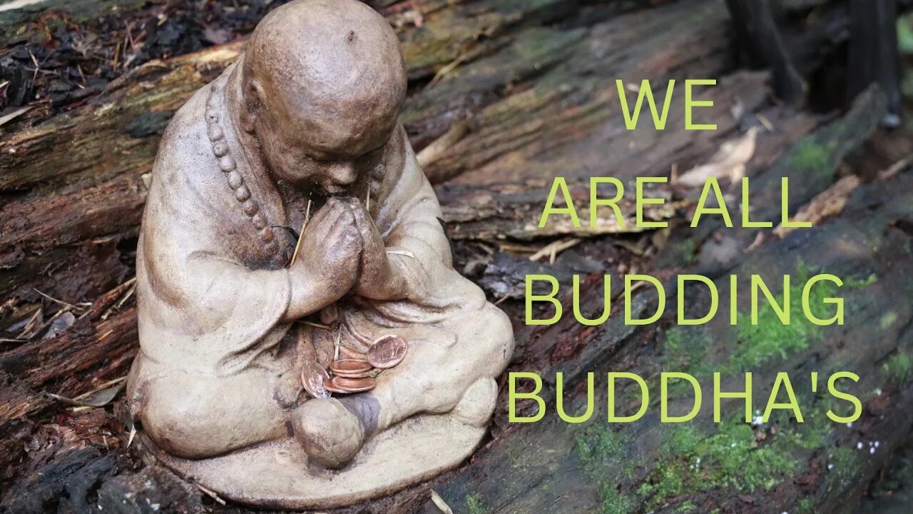 Jared Rand’s Global Guided Meditation Call ~ 11-14-2022 # 1886