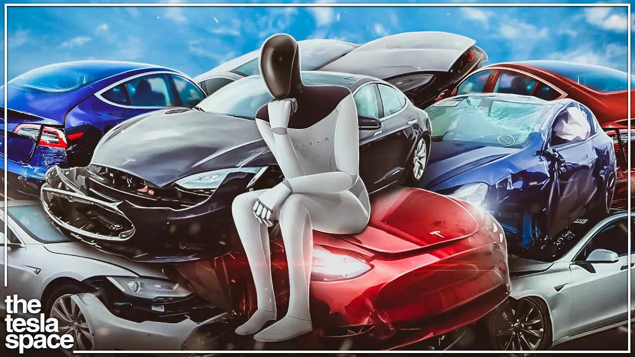 Why Elon Musk Says The Tesla Bot Is More Important Than Tesla Vehicles!