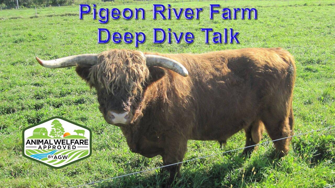 Deep Dive talk: what is A Greener World, Animal Welfare Approved Label all about part 1