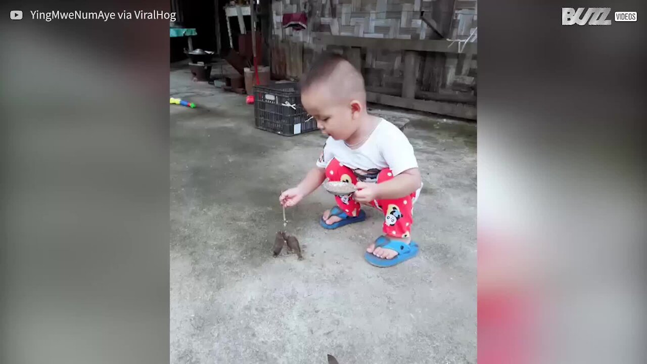 Bambino generoso nutre gli uccellini