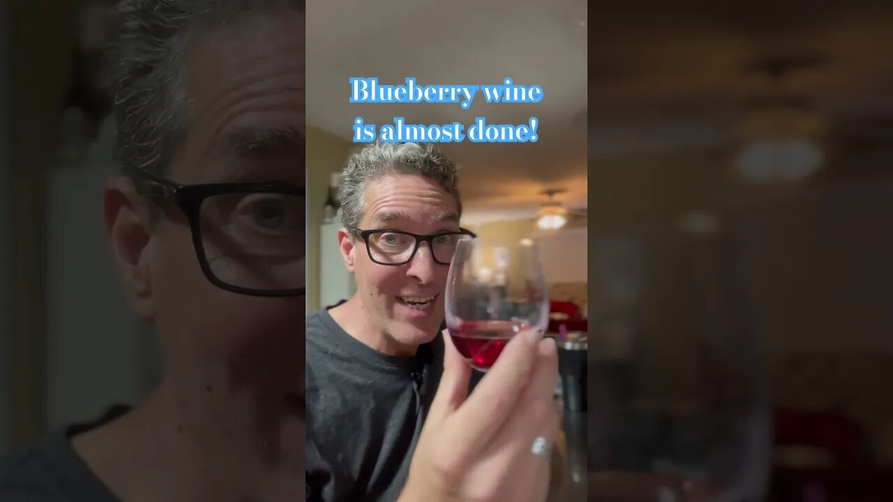#blueberry #wine is almost done! Bottling in a week!! #shorts