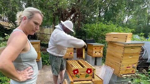 HELP! BEE HIVE INSPECTION TURNED INTO INFESTATION NIGHTMARE !