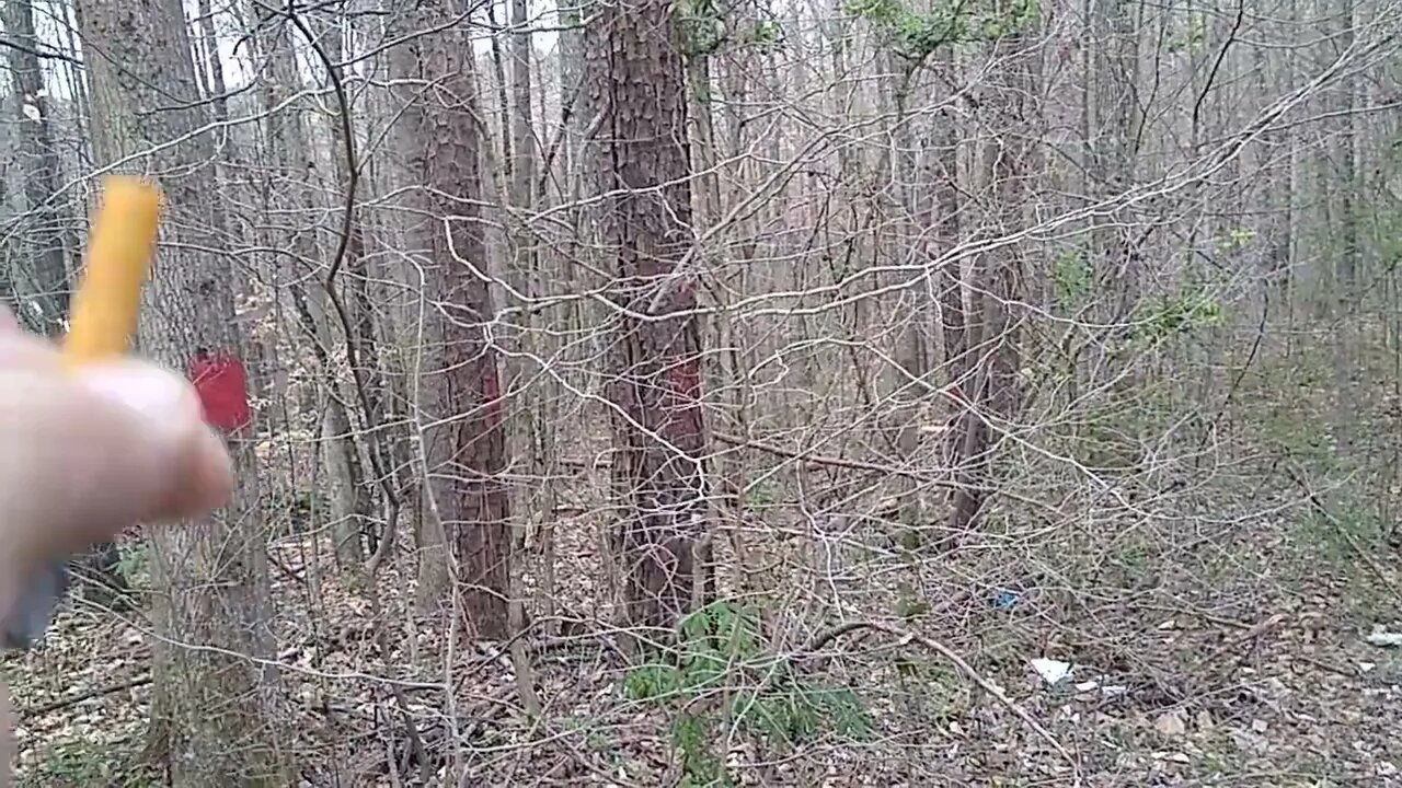 SPRING CLEANING TIME! MUST SEE LIVE TONIGHT @ 9:30 EASTERN.