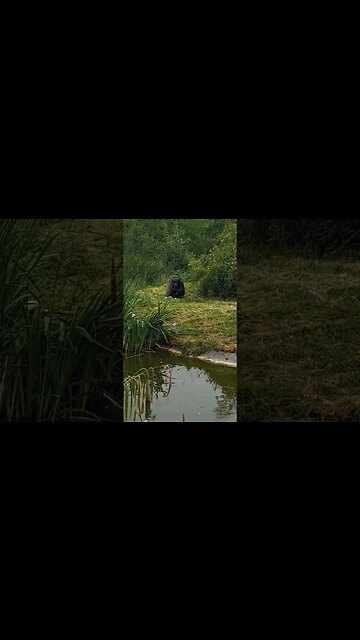 Bet You Can't Wait! #FPL