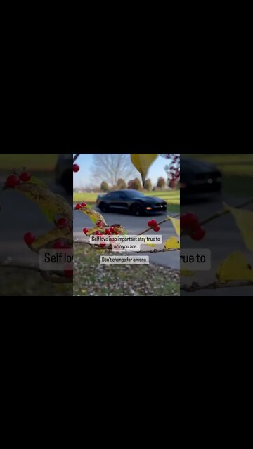 All about positivity ✨ #ford #mustangsociety #fordperformance #fordracing #shorts